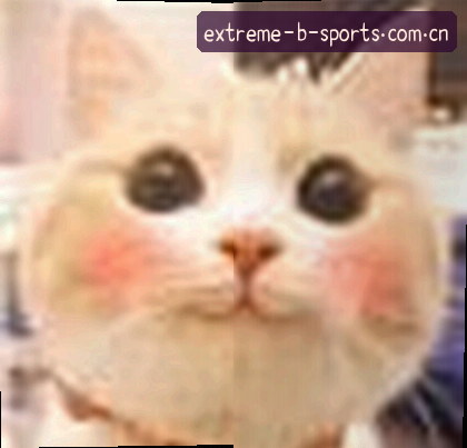 赵鹏